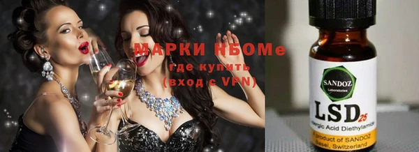 ПСИЛОЦИБИНОВЫЕ ГРИБЫ Покров