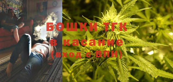 ПСИЛОЦИБИНОВЫЕ ГРИБЫ Покров