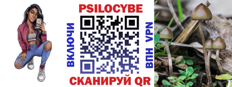 купить закладку  Чадан  Галлюциногенные грибы MAGIC MUSHROOMS 